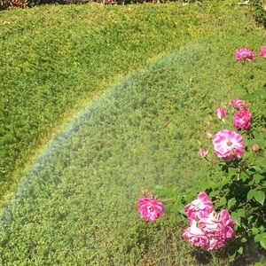 Meet your Posher, Sophie